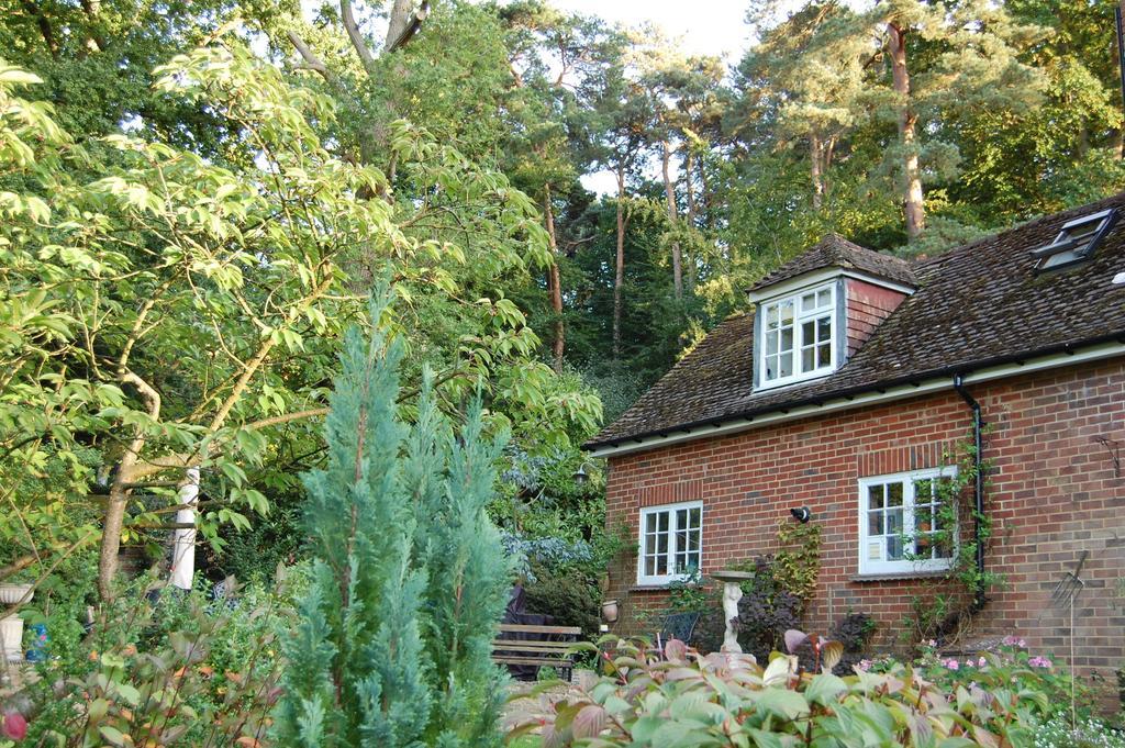The Haven At Talysarn Daire Ascot  Oda fotoğraf